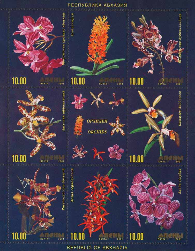 Orchids