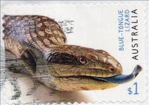 Stamp, Blue-Tongue Lizard (Tiliqua scincoides), Australia,  , Animals (Fauna), Lizards, Reptiles