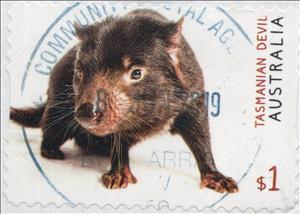 Stamp, Tasmanian Devil (Sarcophilus harrisii), Australia,  , Animals (Fauna), Mammals, Marsupials