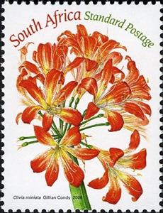 Stamp, Clivia Miniata, South Africa,  