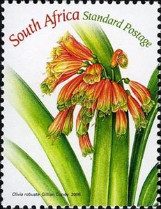 Stamp, Clivia Robusta, South Africa,  