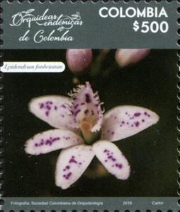 Stamp, Epidendrum fimbriatum, Colombia,  , Flowers, Orchids, Plants (Flora)