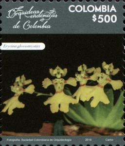 Stamp, Erycina glossomystax, Colombia,  , Flowers, Orchids, Plants (Flora)