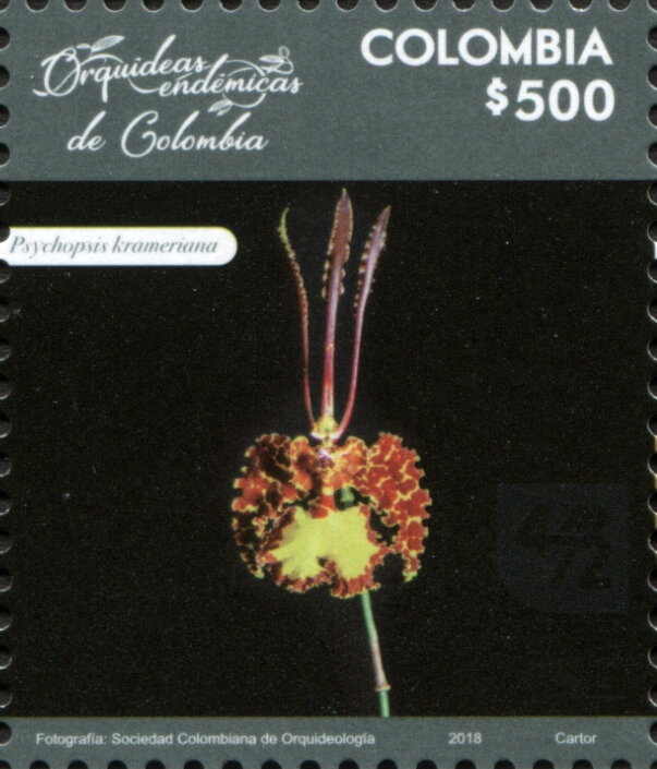 Psychopsis krameriana