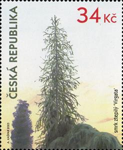 Stamp, Snake Branch Spruce (Picea abies 'Virgata'), Czech Republic,  , Gardens, Plants (Flora), Trees
