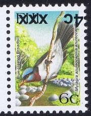 Blue-crested Flycatcher (Myiagra azureocapilla)
