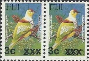 Many-coloured Fruit Dove (Ptilinopus perousii mariae)