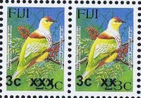 Many-coloured Fruit Dove (Ptilinopus perousii mariae)