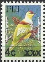 Many-coloured Fruit Dove (Ptilinopus perousii mariae)