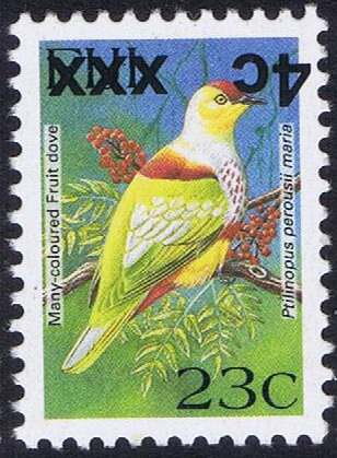 Many-coloured Fruit Dove (Ptilinopus perousii mariae)