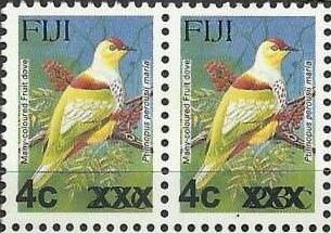 Many-coloured Fruit Dove (Ptilinopus perousii mariae)