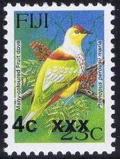 Many-coloured Fruit Dove (Ptilinopus perousii mariae)