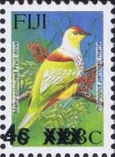 Many-coloured Fruit Dove (Ptilinopus perousii mariae)