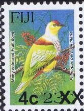Many-coloured Fruit Dove (Ptilinopus perousii mariae)