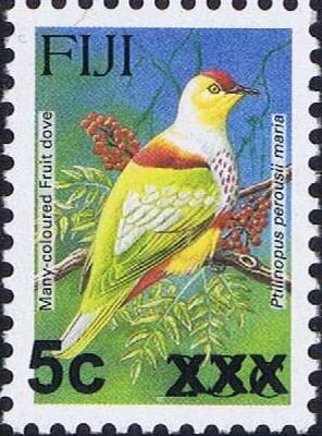 Many-coloured Fruit Dove (Ptilinopus perousii mariae)