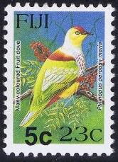 Many-coloured Fruit Dove (Ptilinopus perousii mariae)