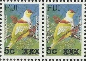 Many-coloured Fruit Dove (Ptilinopus perousii mariae)