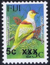 Many-coloured Fruit Dove (Ptilinopus perousii mariae)