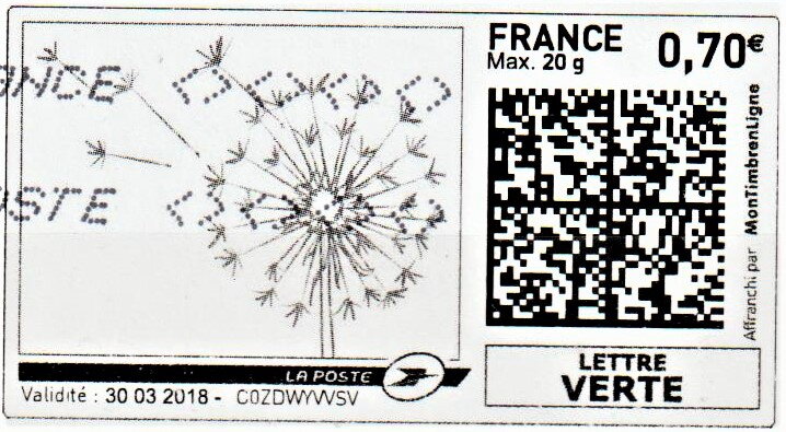 Dandelion Seed Head in grey