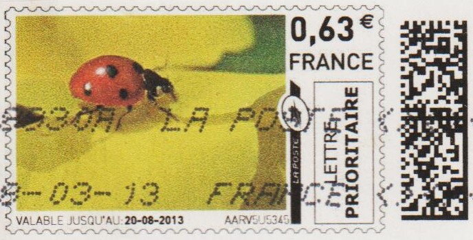 Ladybird colour variant