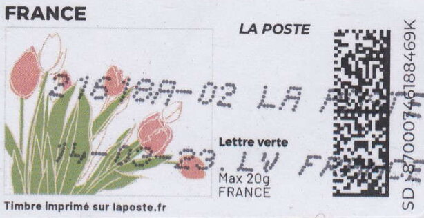 Spring. Pink Tulips. Redesign without Laposte logo