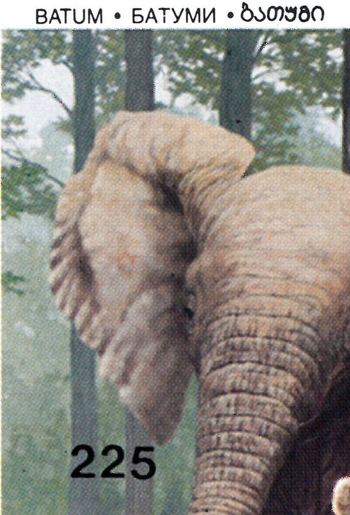 1994 Wildlife