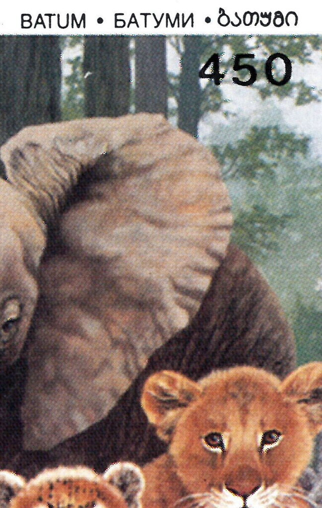 1994 Wildlife