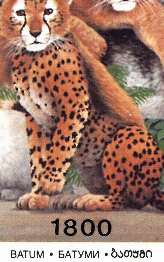 1994 Wildlife