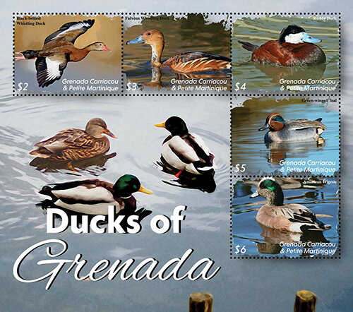Ducks of Grenada