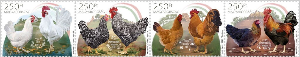 Poultry Breeds of Hungary