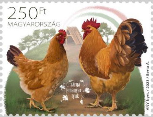 Yellow Hungarian