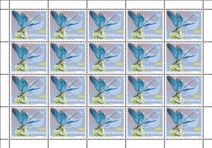 Full Pane, Beautiful Demoiselle (Calopteryx virgo), Liechtenstein,  , Animals (Fauna), Dragonflies, Insects