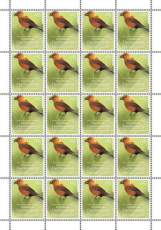 Common Crossbill (Loxia curvirostra)