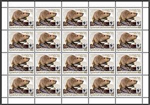 Full Pane, Eurasian Beaver (Castor fiber), Liechtenstein,  , Animals (Fauna), Beavers, Mammals, Rodents, WWF