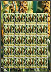 Full Pane, Pistol millet (Setaria italica), Liechtenstein,  , Cereals, Crops, Plants (Flora)