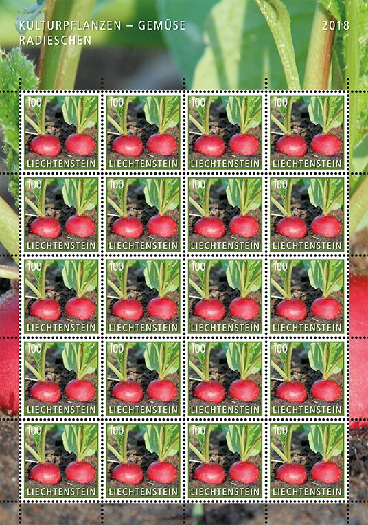 Radishes