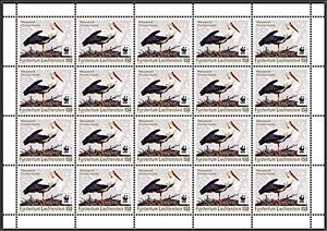 Full Pane, White Stork (Ciconia ciconia), Liechtenstein,  , Animals (Fauna), Birds, Storks, WWF