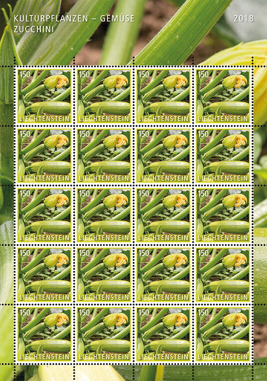 Zucchini