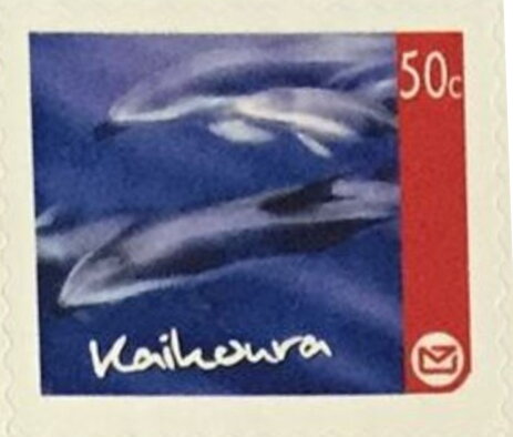 Kaikoura Regional Issue - Dolphins