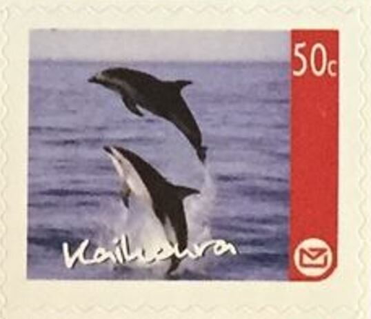 Kaikoura Regional Issue - Dolphins Jumping
