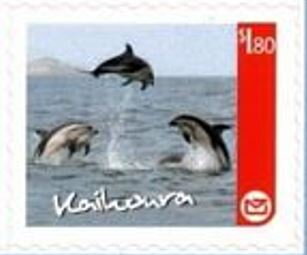 Kaikoura Regional Issue - Dolphins Jumping