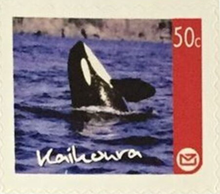 Kaikoura Regional Issue - Orca