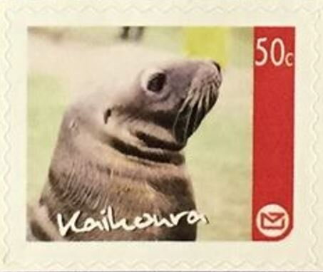 Kaikoura Regional Issue - Seal