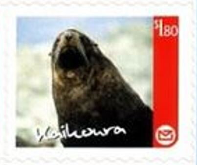 Kaikoura Regional Issue - Seal