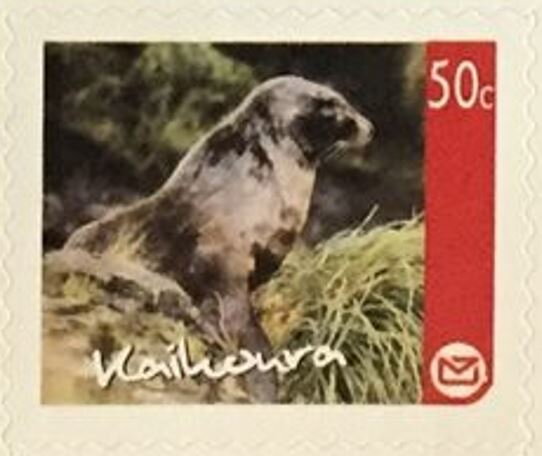 Kaikoura Regional Issue - Seal on Rocks