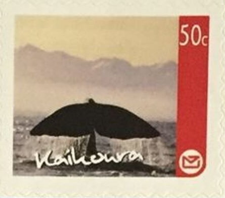 Kaikoura Regional Issue - Whale Tail