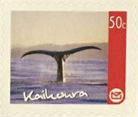 Kaikoura Regional Issue - Whale Tail
