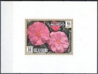 Souvenir Sheet, Camellia x williamsii 'Donation', Ras al Khaimah,  , Flowers, Plants (Flora)
