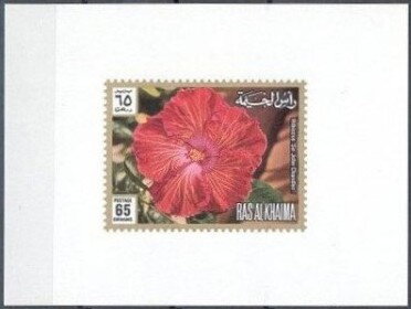 Hibiscus 'Sir John Chandler'