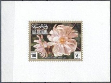 Souvenir Sheet, Magnolia stellata 'Water Lily', Ras al Khaimah,  , Flowers, Plants (Flora)